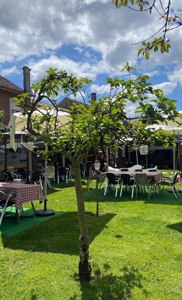 Albergue Vintecatro Caldas De Reis Εξωτερικό φωτογραφία