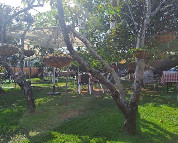 Albergue Vintecatro Caldas De Reis Εξωτερικό φωτογραφία
